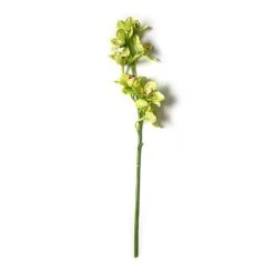 Outlet ⭐ Tropical Cymbidium Stem by Ashland® ⌛