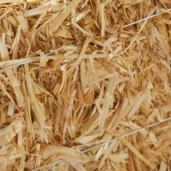 Best Pirce 🔥 Decorative Straw Bale by Ashland® ⌛ -Ashland Sales 10234532 13