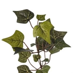 Cheap 🤩 Floral Essentials English Ivy Spray by Ashland® 🤩 7 Cheap 🤩 Floral Essentials English Ivy Spray by Ashland® 🤩 -Ashland Sales 10239706 20