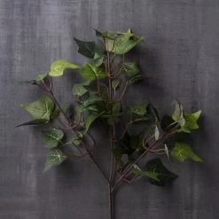 Cheap 🤩 Floral Essentials English Ivy Spray by Ashland® 🤩 6 Cheap 🤩 Floral Essentials English Ivy Spray by Ashland® 🤩 -Ashland Sales 10239706 22