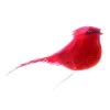Cheapest 😉 Small Cardinal Bird by Ashland® 🎉 1 Cheapest 😉 Small Cardinal Bird by Ashland® 🎉 -Ashland Sales 10239959