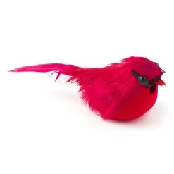 Cheapest 😉 Small Cardinal Bird by Ashland® 🎉 -Ashland Sales 10239959 21