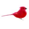 Discount ๐ 24 Pack: Medium Cardinal Bird by Ashland® ๐ 1 Discount ๐ 24 Pack: Medium Cardinal Bird by Ashland® ๐ -Ashland Sales 10239960 1