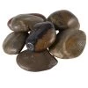Top 10 🎁 Ashland® River Rocks 🔔 -Ashland Sales 10239987