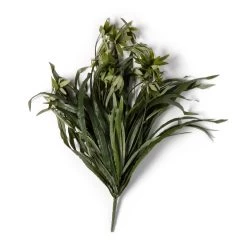 Best deal 😀 Green Spider Bush Classic Greenery Collection by Ashland® ❤️