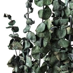 Buy 👏 Ashland® Washed Eucalyptus Bunch, 4 oz. 👏 -Ashland Sales 10259685 20