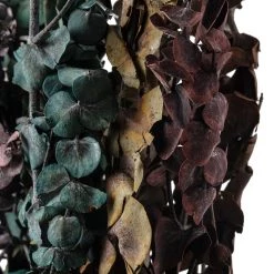 New ⭐ Ashland® Eucalyptus Bunch, 8 oz Tri-Colored 💯 -Ashland Sales 10259689 20