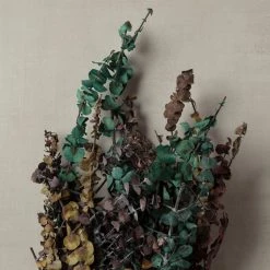 New ⭐ Ashland® Eucalyptus Bunch, 8 oz Tri-Colored 💯 -Ashland Sales 10259689 25