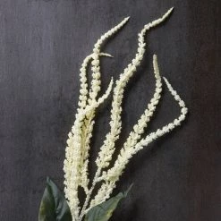 Budget 💯 Cream Amaranthus Stem by Ashland® 🔔 6 Budget 💯 Cream Amaranthus Stem by Ashland® 🔔 -Ashland Sales 10262965 22