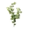 Wholesale ⭐ Silk Ivy Spray by Ashland® ⌛ 1 Wholesale ⭐ Silk Ivy Spray by Ashland® ⌛ -Ashland Sales 10262975 21