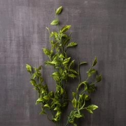 New 😍 Sinojackia Leaf Stem by Ashland® 🧨 -Ashland Sales 10263000 22