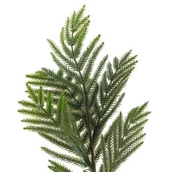 New 🧨 Leather Fern Spray by Ashland® 🤩 -Ashland Sales 10263003 20