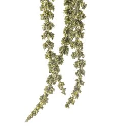 New 🛒 Green Amaranthus Stem by Ashland® 😍 7 New 🛒 Green Amaranthus Stem by Ashland® 😍 -Ashland Sales 10263015 20