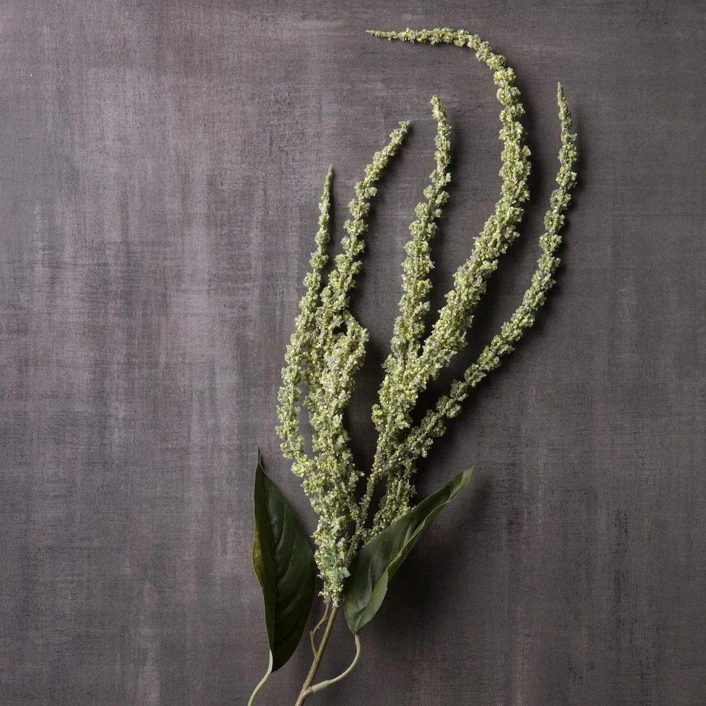 New 🛒 Green Amaranthus Stem by Ashland® 😍 4 New 🛒 Green Amaranthus Stem by Ashland® 😍 - Image 2