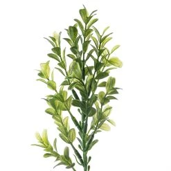 Cheap 🥰 Sweet Grass Stem by Ashland® 😉 -Ashland Sales 10263020 20