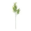 Cheap 🥰 Sweet Grass Stem by Ashland® 😉 -Ashland Sales 10263020 21