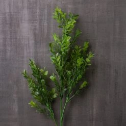 Cheap 🥰 Sweet Grass Stem by Ashland® 😉 -Ashland Sales 10263020 22