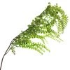 Best Pirce ⌛ 12 Pack: Green Weeping Fern Spray by Ashland® 😉 -Ashland Sales 10263117