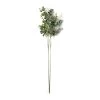 Cheap ❤️ Eucalyptus Stem by Ashland® 😍 -Ashland Sales 10263719 21