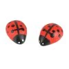 Outlet ❤️ Nature Center Lady Bugs by Ashland® ⌛ -Ashland Sales 10276385 1