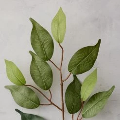 Coupon 🥰 Ficus Spray Floral Essentials by Ashland® 👏 -Ashland Sales 10292507 20