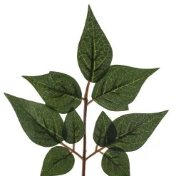 Brand new ❤️ China Dollar Spray Floral Essentials by Ashland® 🧨 -Ashland Sales 10292511 20