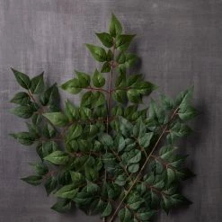 Brand new ❤️ China Dollar Spray Floral Essentials by Ashland® 🧨 -Ashland Sales 10292511 22