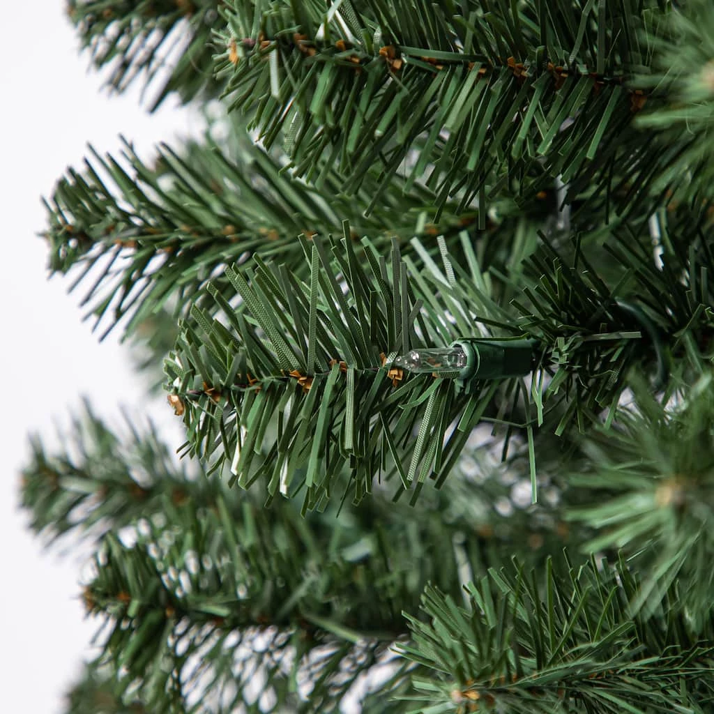 Coupon 🔔 7ft. Pre-Lit Artificial 🎅 Christmas Tree, Clear Lights by Ashland® 😉 6 Coupon 🔔 7ft. Pre-Lit Artificial 🎅 Christmas Tree, Clear Lights by Ashland® 😉 - Image 5