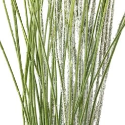 Coupon π Assorted Branch Twig by Ashland® π 12 Coupon π Assorted Branch Twig by Ashland® π -Ashland Sales 10296166 20