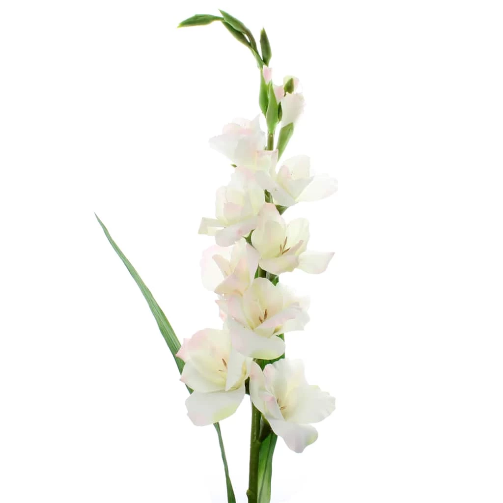 Cheap π― 12 Pack: White Gladiolus Stem by Ashland® π 3 Cheap π― 12 Pack: White Gladiolus Stem by Ashland® π