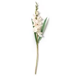 Best Sale 🤩 White Gladiolus Stem by Ashland® 👏 -Ashland Sales 10297020 21