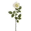 Best reviews of 🔥 16 Pack: Ivory Princess Rose Stem by Ashland® 🔥 -Ashland Sales 10297096