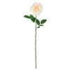 Best reviews of 🥰 12 Pack: White Princess Rose Stem by Ashland® 👍 -Ashland Sales 10297097