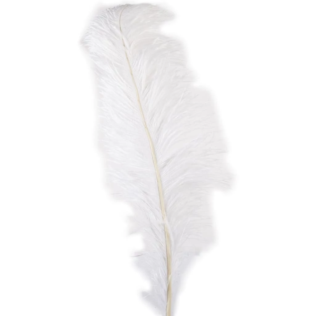 Wholesale ๐ Ashland® Feather, Ostrich, Ivory ๐งจ 3 Wholesale ๐ Ashland® Feather, Ostrich, Ivory ๐งจ