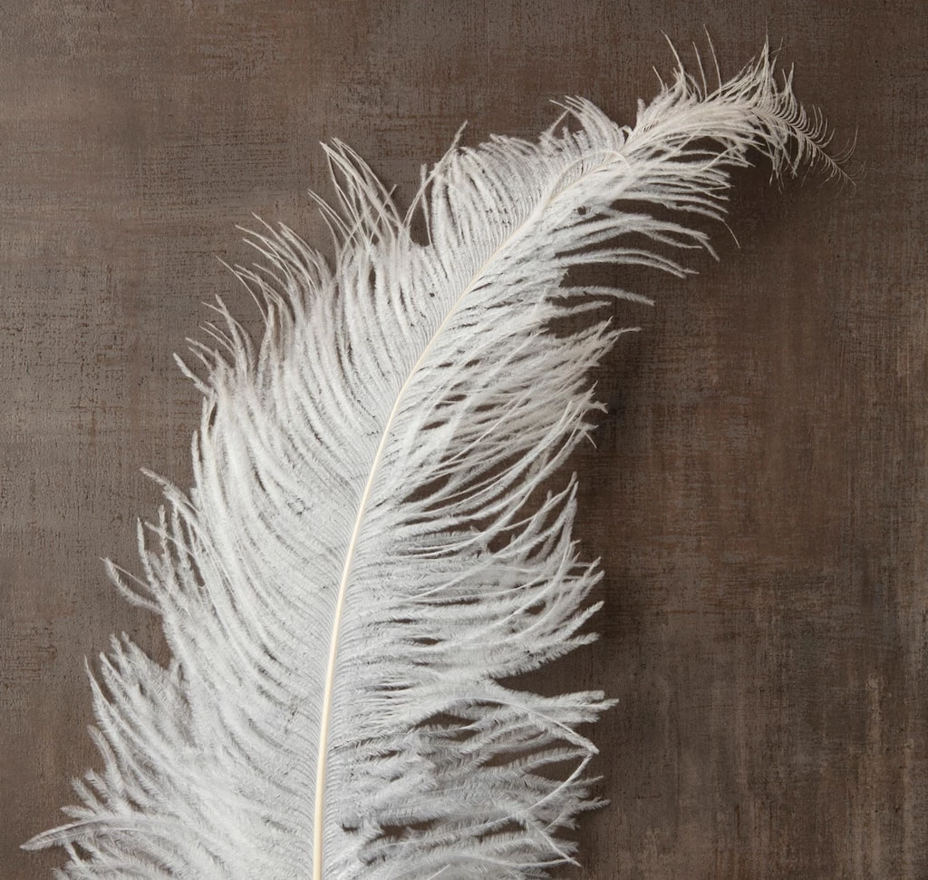 Wholesale ๐ Ashland® Feather, Ostrich, Ivory ๐งจ 4 Wholesale ๐ Ashland® Feather, Ostrich, Ivory ๐งจ - Image 2
