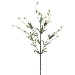 Top 10 ✔️ Wild Daisy Spray by Ashland® 🔥