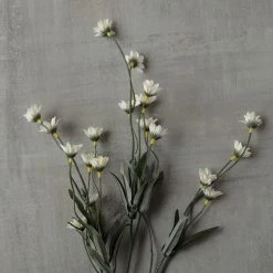 Top 10 ✔️ Wild Daisy Spray by Ashland® 🔥 -Ashland Sales 10302183 25