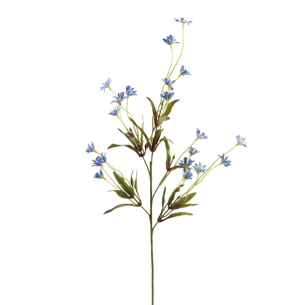 Coupon 🛒 Wild Daisy Spray by Ashland® 🎁 3 Coupon 🛒 Wild Daisy Spray by Ashland® 🎁