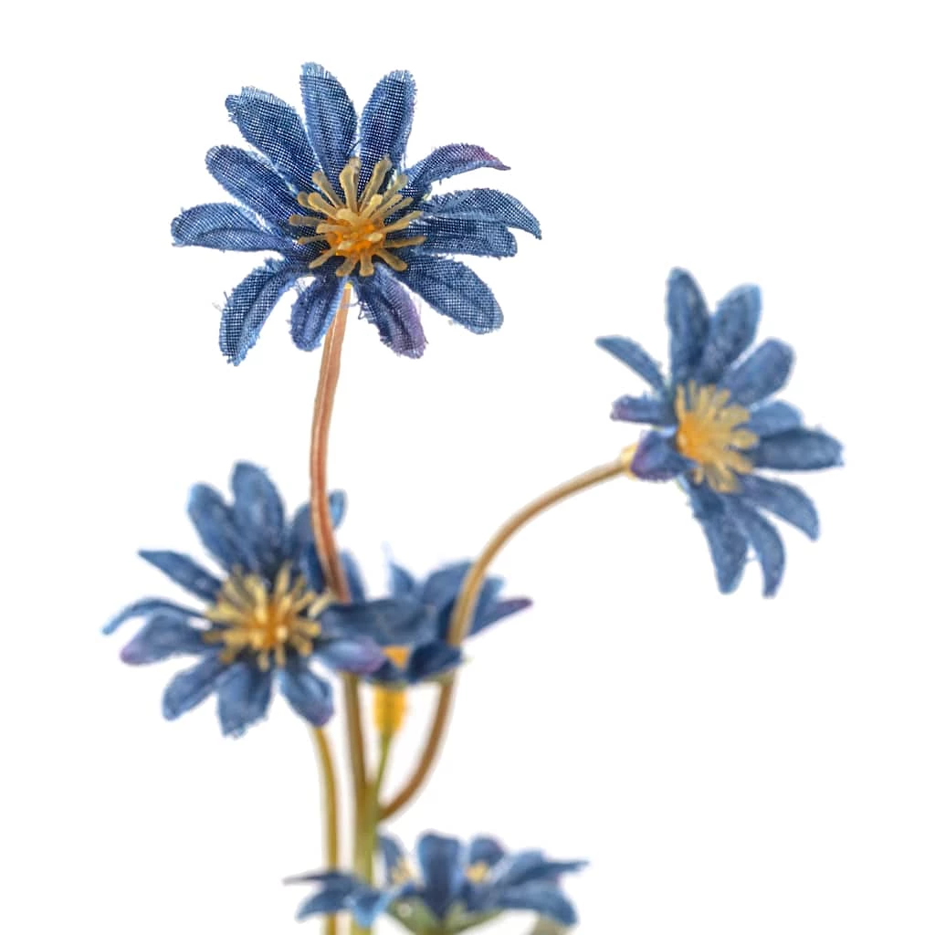 Coupon 🛒 Wild Daisy Spray by Ashland® 🎁 5 Coupon 🛒 Wild Daisy Spray by Ashland® 🎁 - Image 3