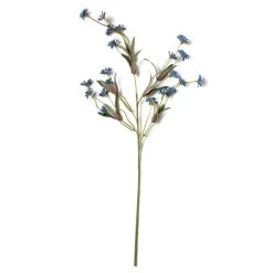 Coupon 🛒 Wild Daisy Spray by Ashland® 🎁 9 Coupon 🛒 Wild Daisy Spray by Ashland® 🎁 -Ashland Sales 10302184 21