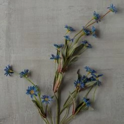 Coupon 🛒 Wild Daisy Spray by Ashland® 🎁 7 Coupon 🛒 Wild Daisy Spray by Ashland® 🎁 -Ashland Sales 10302184 25