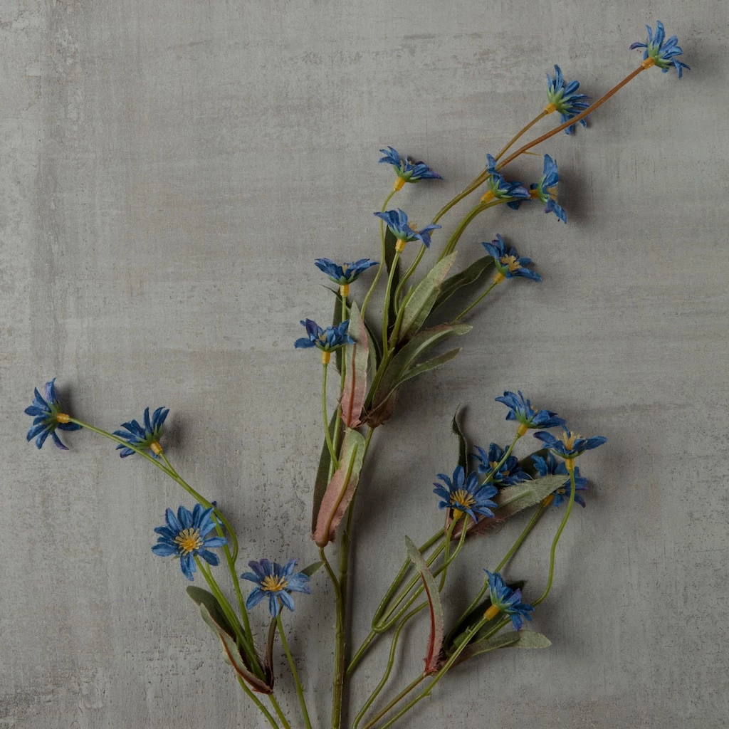 Coupon 🛒 Wild Daisy Spray by Ashland® 🎁 4 Coupon 🛒 Wild Daisy Spray by Ashland® 🎁 - Image 2