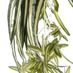 Buy ⌛ Variegated Spider Bush Classic Greenery Collection by Ashland® ✨ -Ashland Sales 10308650 20