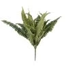Promo ✔️ Boston Fern Bush Fern Collection by Ashland® ✔️