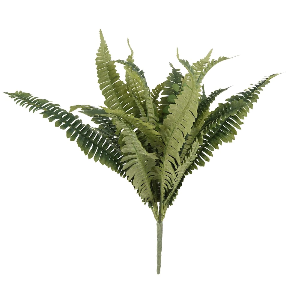 Promo ✔️ Boston Fern Bush Fern Collection by Ashland® ✔️ 3 Promo ✔️ Boston Fern Bush Fern Collection by Ashland® ✔️