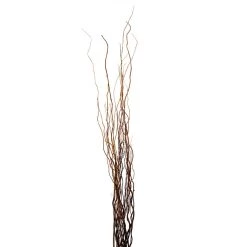 Brand new ✨ Natural Curly Willow by Ashland® 🥰