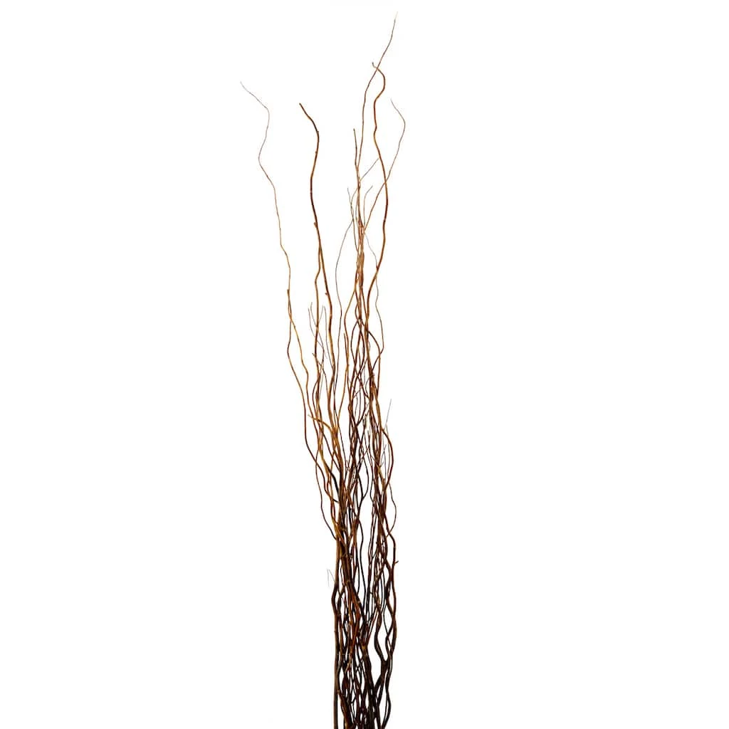 Brand new ✨ Natural Curly Willow by Ashland® 🥰 3 Brand new ✨ Natural Curly Willow by Ashland® 🥰