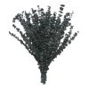 Flash Sale 👏 Green Eucalyptus Bunch by Ashland®, 16oz. 😀 -Ashland Sales 10322552 1