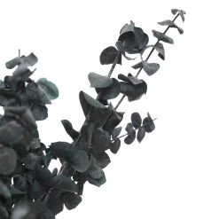 Flash Sale 👏 Green Eucalyptus Bunch by Ashland®, 16oz. 😀 -Ashland Sales 10322552 2