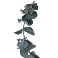 Flash Sale 👏 Green Eucalyptus Bunch by Ashland®, 16oz. 😀 -Ashland Sales 10322552 20